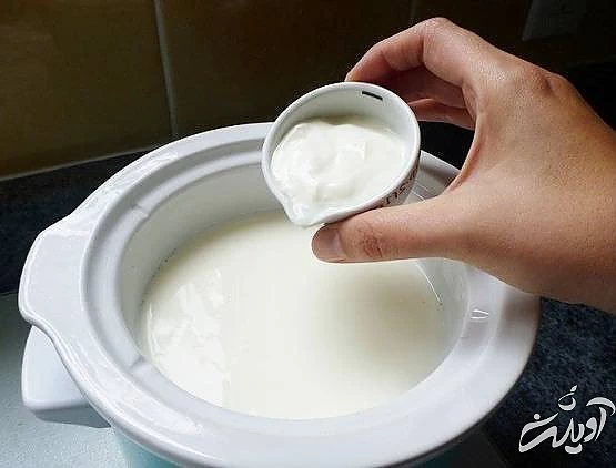 طرز تهیه ماست خانگی علت آب انداختن ماست